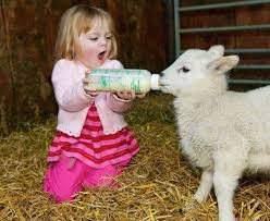 مهربان بودن کودک با حیوانات